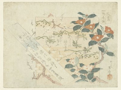 Bladen van poëzie door Ryuryukyo Shinsai