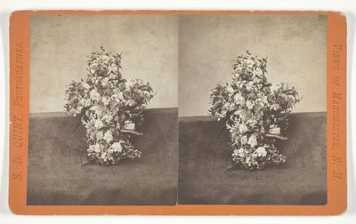 Zonder titel [bloemstuk in de vorm van een kruis], midden 19e eeuw door S.D. Quint