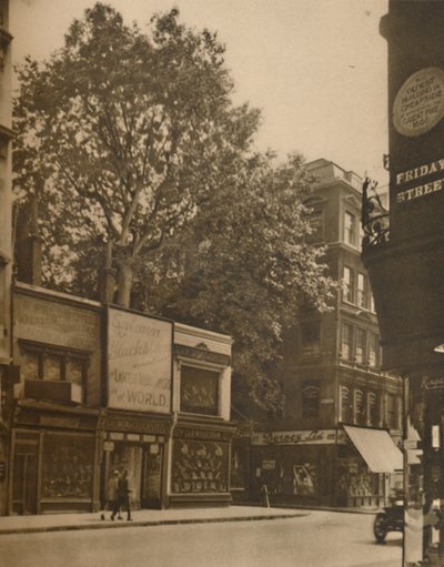 Een Bevoorrechte Inwoner van de Stad: De Plataan in Cheapside, ca. 1935 door SO Gorse