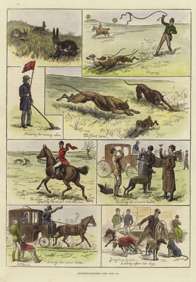 Coursing wedstrijden door S.T. Dadd