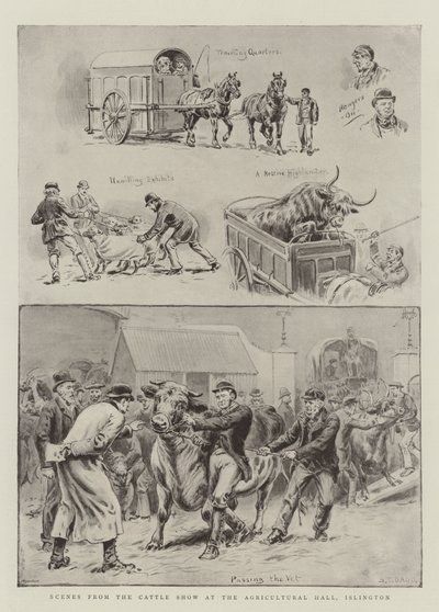 Scènes van de veeshow in de Agricultural Hall, Islington door S.T. Dadd