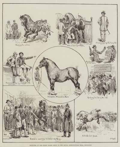 Schetsen op de Shire Horse Show, in de Royal Agricultural Hall, Islington door S.T. Dadd