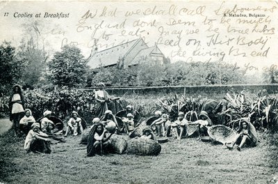 Koelies bij het ontbijt, ca. 1908 door S. Mahadeo