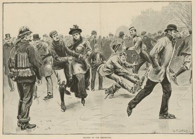 Schaatsen op de Serpentine door S. T. Dadd