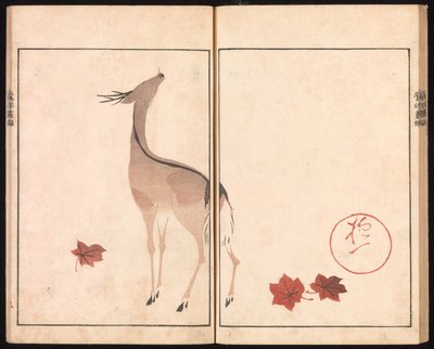  door Sakai Hoitsu