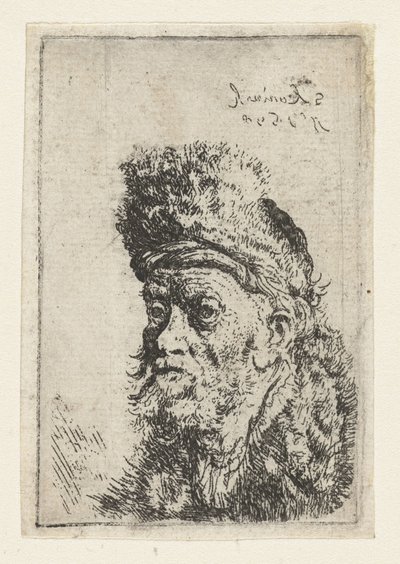 Buste van een man met bontmuts door Salomon Koninck