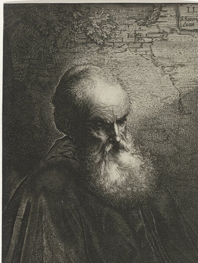 Portret van een oude man met baard door Salomon Savery