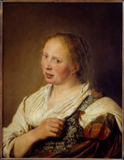 Portret van een jonge Vlaamse boer door Salomon de Bray