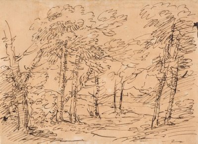 Landschap met bomen en bergen op de achtergrond door Salvator Rosa