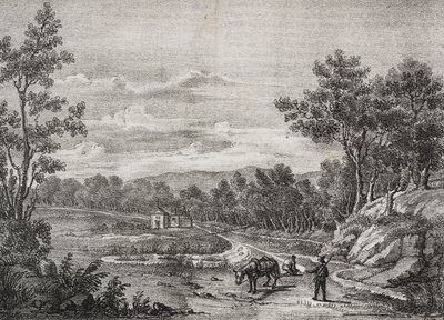 Bronnen van mineraalwater in het bos van Acerra, Campania, Italië, lithografie door Salvatore Puglia uit Poliorama Pittoresco, nr. 5, 7 september door Salvatore Puglia