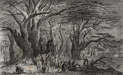 Oude ceders van Libanon in Tyrus, Libanon, uit Poliorama Pittoresco, nr. 25, 28 januari door Salvatore Puglia