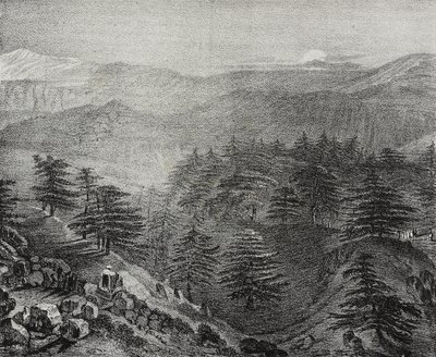 Uitzicht op de berg Libanon met zijn beroemde ceders, Libanon, lithografie uit Poliorama Pittoresco, nr. 10, 15 oktober door Salvatore Puglia