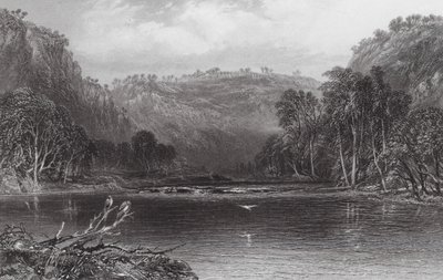 Australië: Aan de Cow Pasture River (gravure) door Samuel (after) Prout