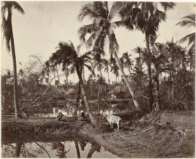 Dorpsgezicht in Bengalen, India door Samuel Bourne (signed by artist)