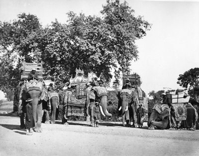Een Groep Olifanten van de Onderkoning en hun Staatstuig, ca. 1860s door Samuel Bourne