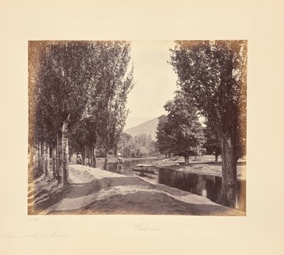  door Samuel Bourne