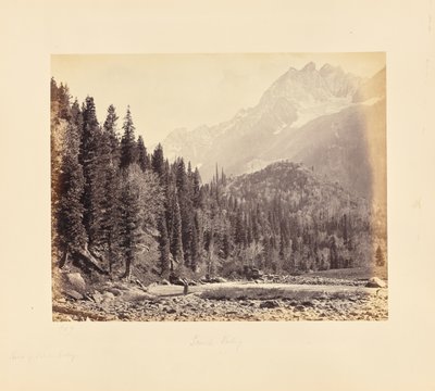  door Samuel Bourne