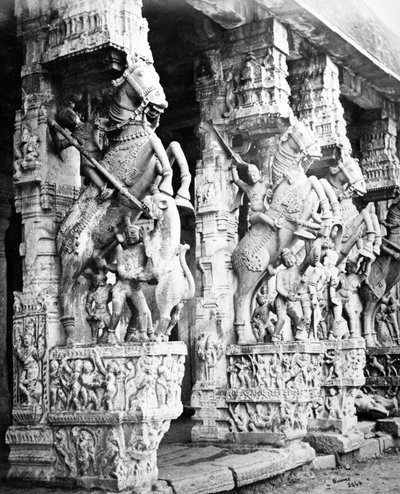 Gesneden paardenpilaren in de Ranganatha-tempel, Srirangam, 1869 door Samuel Bourne