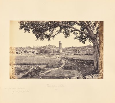 Fatehpur Sikri; algemeen uitzicht op de ruïnes (westzijde), vanaf de voet van de heuvel door Samuel Bourne