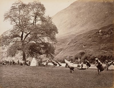 Mussucks voor het oversteken van de Beas rivier onder Bajoura, 1866 door Samuel Bourne