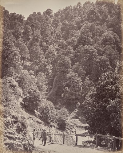  door Samuel Bourne