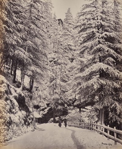  door Samuel Bourne