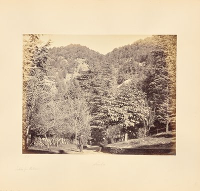 Simla; Jakko, van "Oakover" (Algemeen uitzicht vanaf de Tonga Road) door Samuel Bourne