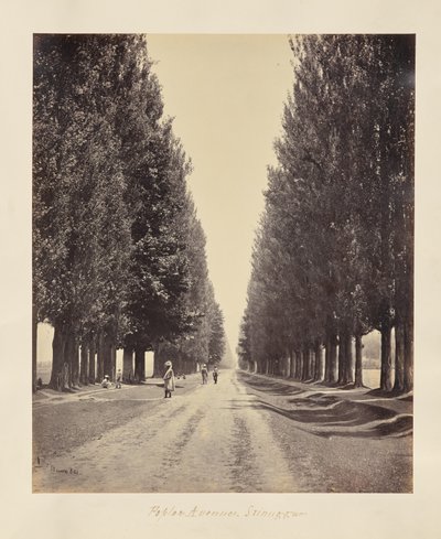  door Samuel Bourne