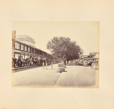 De Chandni-Chouk, hoofdstraat in Delhi door Samuel Bourne