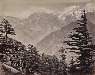 De hogere Himalaya. Gezicht nabij de China Mountains. Himalayaceders op de voorgrond door Samuel Bourne