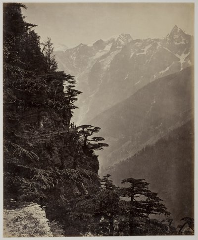 Zonder Titel door Samuel Bourne