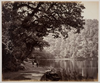 Zonder titel door Samuel Bourne