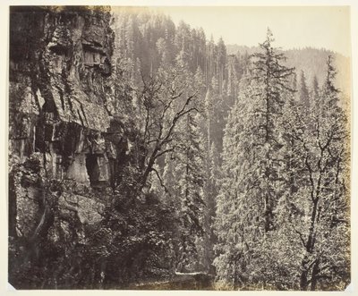 Zonder titel [kliffen en bomen], c. 1865 door Samuel Bourne