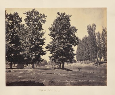 Uitzicht op kanaal Dhul door Samuel Bourne