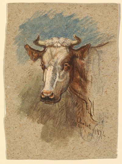 Kop van een Koe, Étretat door Samuel Colman
