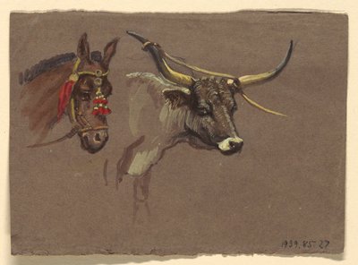 Hoofd van een Muilezel met een hoofdstel, Hoofd van een Buffel of Os door Samuel Colman