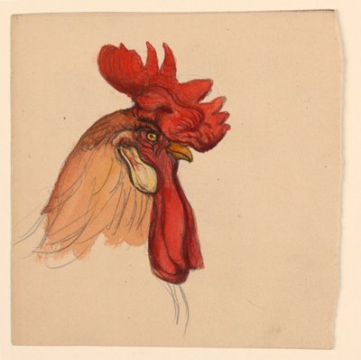Hoofd van een haan door Samuel Colman