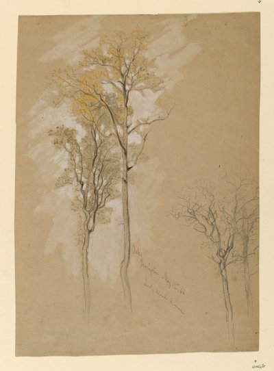 Eiken, Lady Wood Lane, Irvington door Samuel Colman