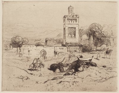 Ruïnes van een moskee, Tlemciem, Algerije door Samuel Colman