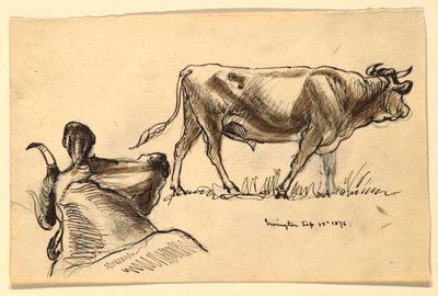 Schetsen van Vee, Irvington door Samuel Colman
