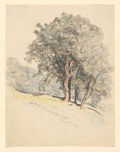 Studie van Eikenbomen bij Lake Dunmore, Vermont door Samuel Colman