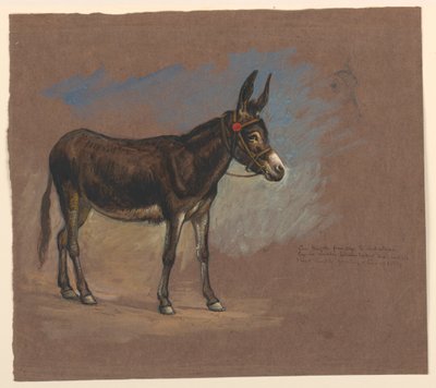 Studie van een muilezel door Samuel Colman