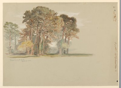 De pijnbomen van El Monte, Californië door Samuel Colman