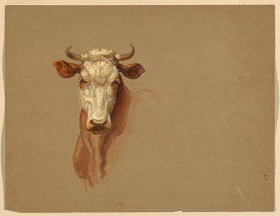 Twee Studies van Vee door Samuel Colman