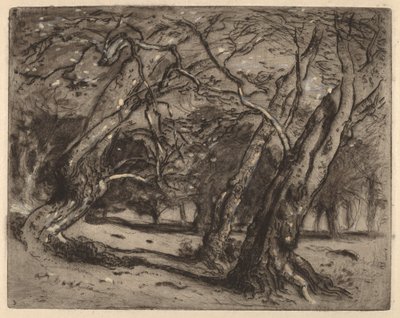 Zonder titel (Boslandschap) door Samuel Colman