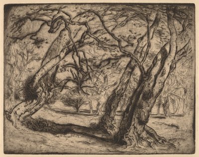 Zonder Titel (Boslandschap) door Samuel Colman