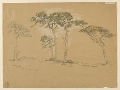 Windgeblazen dennen, Pacific Grove. Verso: Pacific Coast weg naar Point Sur. door Samuel Colman