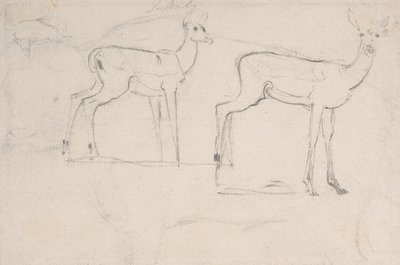 Studie voor twee staande Pallah-herten door Samuel Daniell