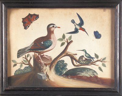 Groen gevleugelde duif, met roodkeelkolibries, pauwvlinder en ultramarijnvlinder door Samuel Dixon