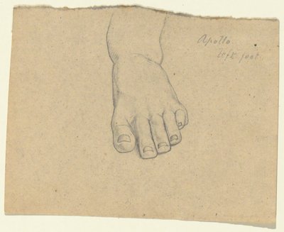 Studie voor het Oordeel van Jupiter (Apollo, linkervoet) door Samuel Finley Breese Morse